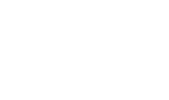Zenith Ledger Financial Homepage